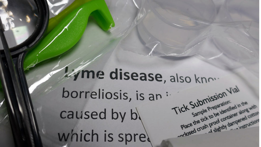 Hbot & Lyme disease 